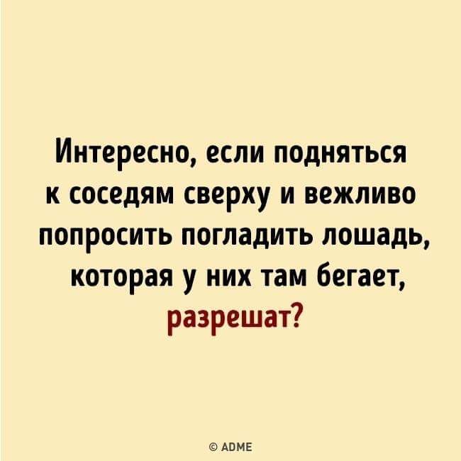 Звуки топота для соседей сверху слушать. Топот соседей. Соседи сверху сильно топают. Картинки с соседями топающими сверху. Интересно если подняться к соседям и попросить погладить лошадь.